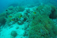 DCIM\100GOPRO\GOPR2501.