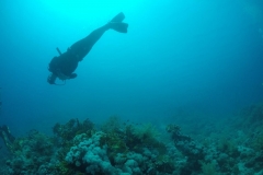 DCIM\100GOPRO\GOPR2503.