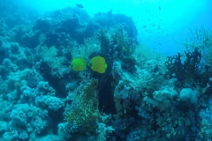 DCIM\100GOPRO\GOPR2521.