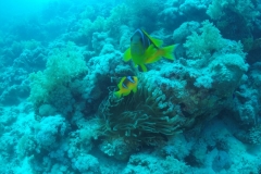 DCIM\100GOPRO\GOPR2531.
