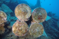 DCIM\100GOPRO\GOPR2551.
