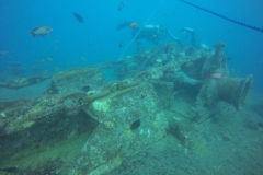 DCIM\100GOPRO\GOPR2564.