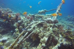 DCIM\100GOPRO\GOPR2613.