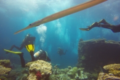 DCIM\100GOPRO\GOPR2623.