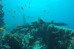 DCIM\100GOPRO\GOPR2625.