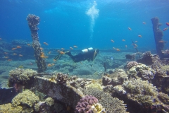 DCIM\100GOPRO\GOPR2627.