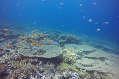 DCIM\100GOPRO\GOPR2628.