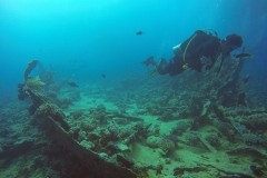 DCIM\100GOPRO\GOPR2635.