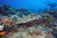DCIM\100GOPRO\GOPR2651.