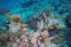 DCIM\100GOPRO\GOPR2716.