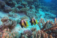 DCIM\100GOPRO\GOPR2765.