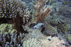 DCIM\100GOPRO\GOPR2767.