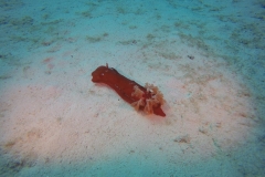 DCIM\100GOPRO\GOPR2784.