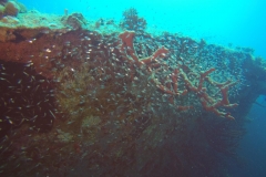 DCIM\100GOPRO\GOPR2813.
